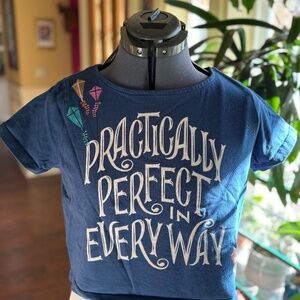 Disney Collectors T Shirt